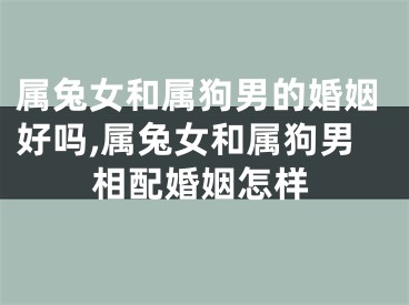 属兔女和属狗男的婚姻好吗,属兔女和属狗男相配婚姻怎样
