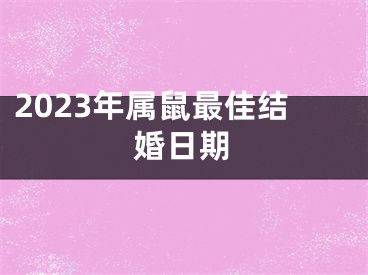 2023年属鼠最佳结婚日期