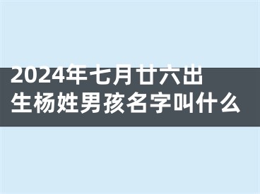 2024年七月廿六出生杨姓男孩名字叫什么