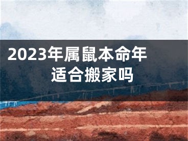 2023年属鼠本命年适合搬家吗