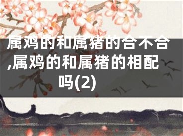 属鸡的和属猪的合不合,属鸡的和属猪的相配吗(2)