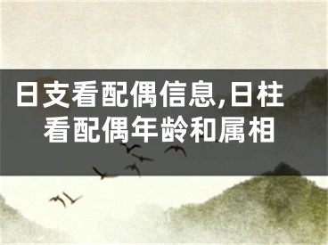 日支看配偶信息,日柱看配偶年龄和属相