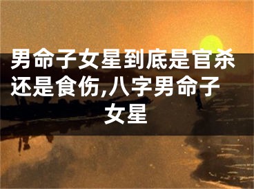 男命子女星到底是官杀还是食伤,八字男命子女星