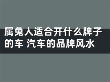 属兔人适合开什么牌子的车 汽车的品牌风水