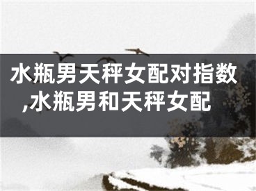 水瓶男天秤女配对指数,水瓶男和天秤女配