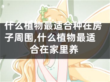 什么植物最适合种在房子周围,什么植物最适合在家里养