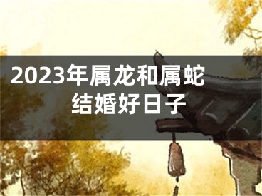 2023年属龙和属蛇结婚好日子