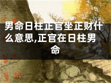 男命日柱正官坐正财什么意思,正官在日柱男命
