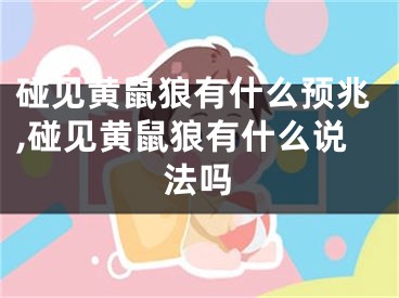 碰见黄鼠狼有什么预兆,碰见黄鼠狼有什么说法吗
