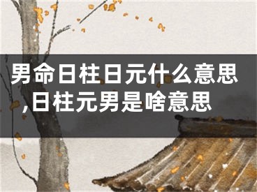 男命日柱日元什么意思,日柱元男是啥意思