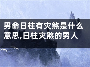 男命日柱有灾煞是什么意思,日柱灾煞的男人