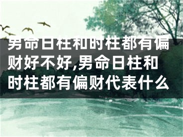 男命日柱和时柱都有偏财好不好,男命日柱和时柱都有偏财代表什么