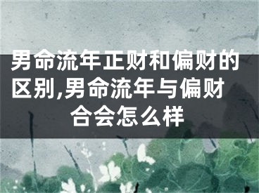 男命流年正财和偏财的区别,男命流年与偏财合会怎么样