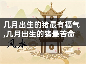 几月出生的猪最有福气,几月出生的猪最苦命