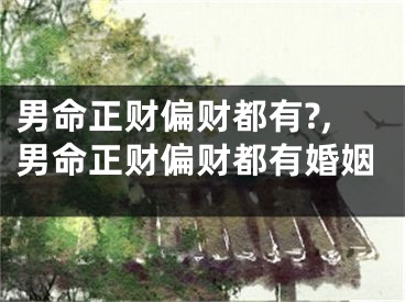 男命正财偏财都有?,男命正财偏财都有婚姻
