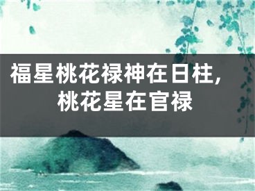 福星桃花禄神在日柱,桃花星在官禄