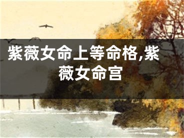 紫薇女命上等命格,紫薇女命宫