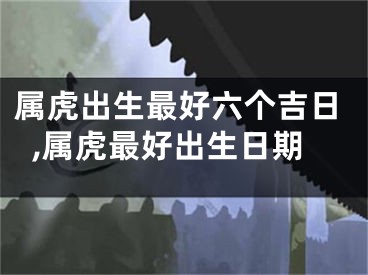 属虎出生最好六个吉日,属虎最好出生日期
