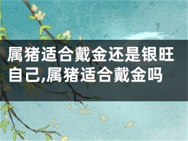属猪适合戴金还是银旺自己,属猪适合戴金吗