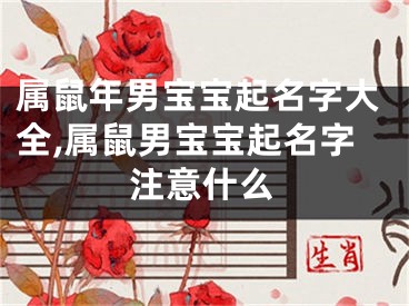 属鼠年男宝宝起名字大全,属鼠男宝宝起名字注意什么