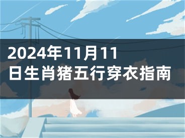 2024年11月11日生肖猪五行穿衣指南