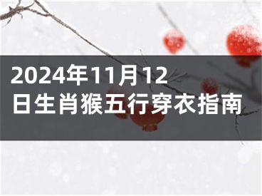 2024年11月12日生肖猴五行穿衣指南