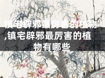 镇宅辟邪最厉害的植物,镇宅辟邪最厉害的植物有哪些