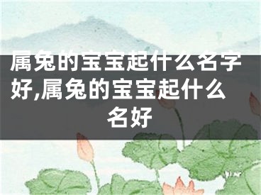 属兔的宝宝起什么名字好,属兔的宝宝起什么名好