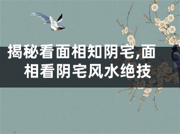 揭秘看面相知阴宅,面相看阴宅风水绝技