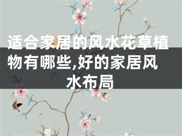 适合家居的风水花草植物有哪些,好的家居风水布局