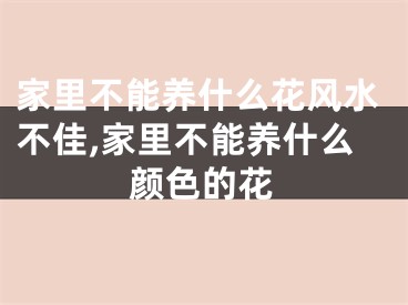 家里不能养什么花风水不佳,家里不能养什么颜色的花