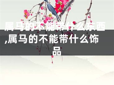 属马的不能带什么东西,属马的不能带什么饰品