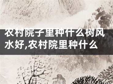 农村院子里种什么树风水好,农村院里种什么