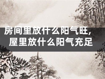 房间里放什么阳气旺,屋里放什么阳气充足