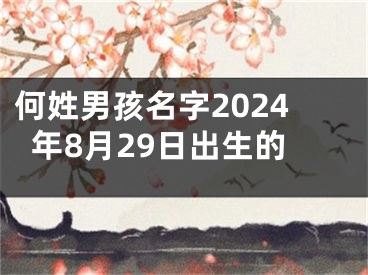 何姓男孩名字2024年8月29日出生的