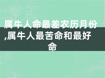 属牛人命最差农历月份,属牛人最苦命和最好命