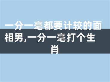 一分一毫都要计较的面相男,一分一毫打个生肖