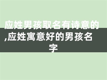 应姓男孩取名有诗意的,应姓寓意好的男孩名字