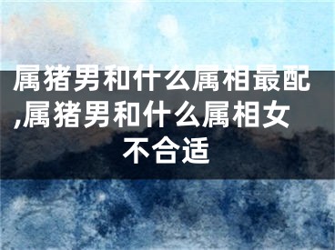属猪男和什么属相最配,属猪男和什么属相女不合适