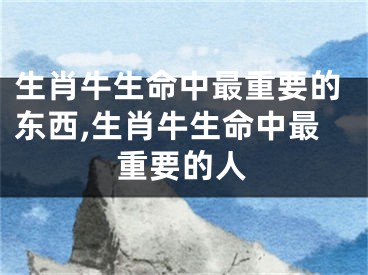 生肖牛生命中最重要的东西,生肖牛生命中最重要的人