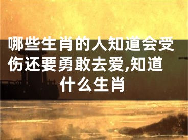 哪些生肖的人知道会受伤还要勇敢去爱,知道什么生肖