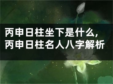 丙申日柱坐下是什么,丙申日柱名人八字解析