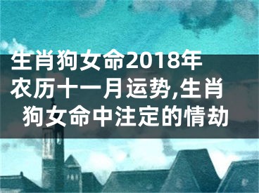 生肖狗女命2018年农历十一月运势,生肖狗女命中注定的情劫