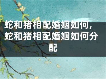 蛇和猪相配婚姻如何,蛇和猪相配婚姻如何分配