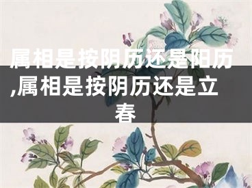 属相是按阴历还是阳历,属相是按阴历还是立春