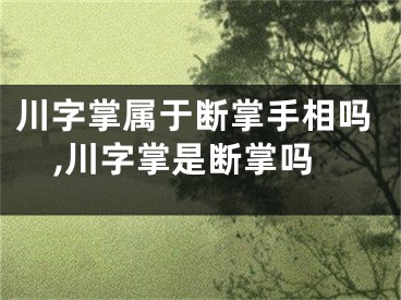 川字掌属于断掌手相吗,川字掌是断掌吗