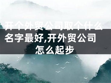 开个外贸公司取个什么名字最好,开外贸公司怎么起步