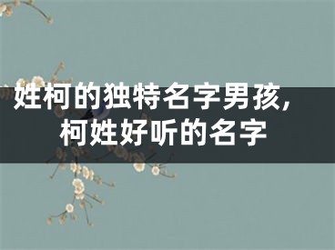 姓柯的独特名字男孩,柯姓好听的名字