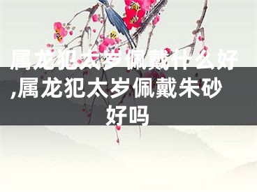 属龙犯太岁佩戴什么好,属龙犯太岁佩戴朱砂好吗