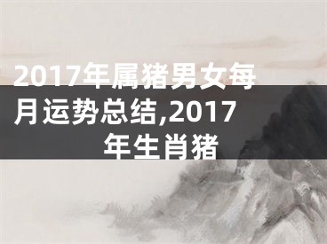 2017年属猪男女每月运势总结,2017年生肖猪